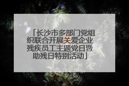 长沙市多部门党组织联合开展关爱企业残疾员工主题党日暨助残日特别活动
